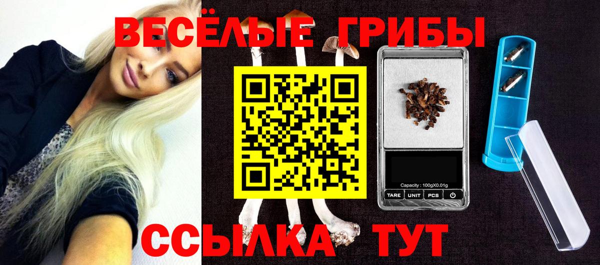 Псилоцибиновые грибы Cubensis Обь